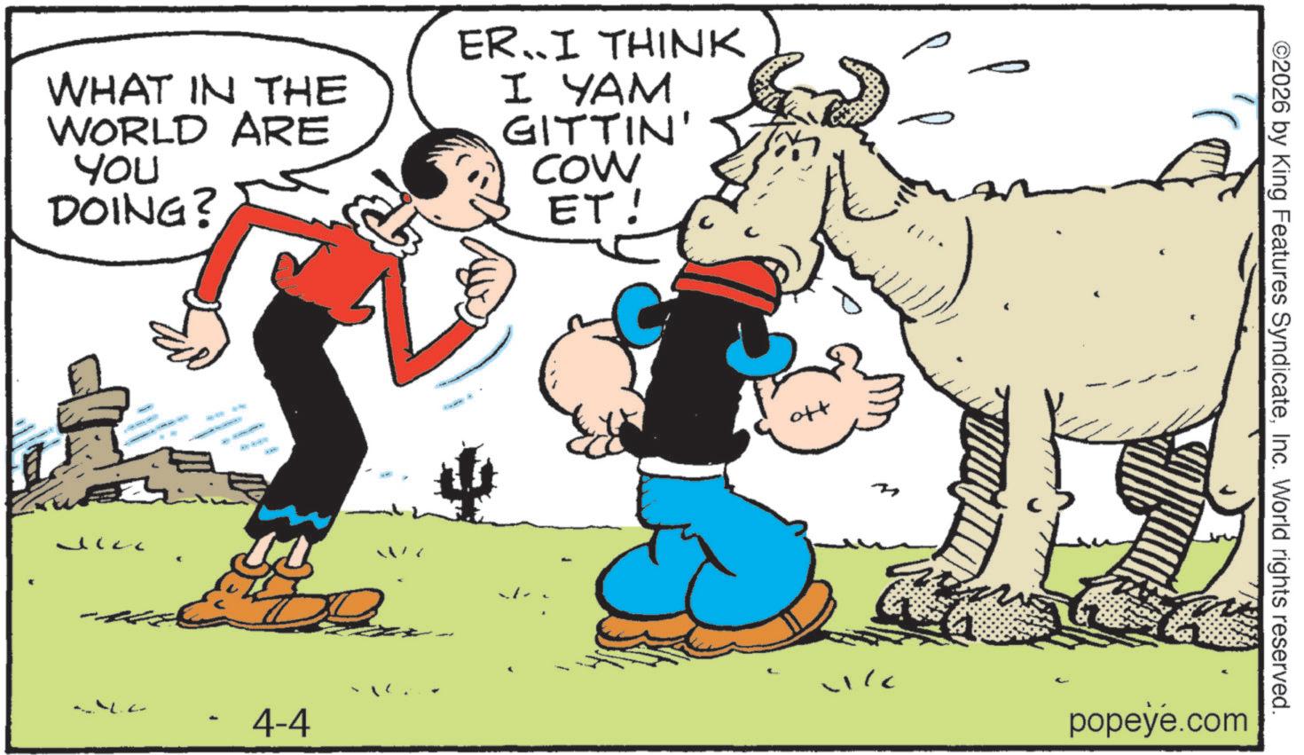 Working animal OCR: WHAT IN THE WORLD ARE You DOING? ER..I THINK I YAM GITTIN' COW ET! 4-4 ©2026 by King Features SyndicateInc. World rights reserved. popeye.com WHAT IN THE WORLD ARE You DOING ? ER..I THINK I YAM GITTIN ' COW ET ! 4-4 © 2026 by King Features SyndicateInc. World rights reserved . popeye.com