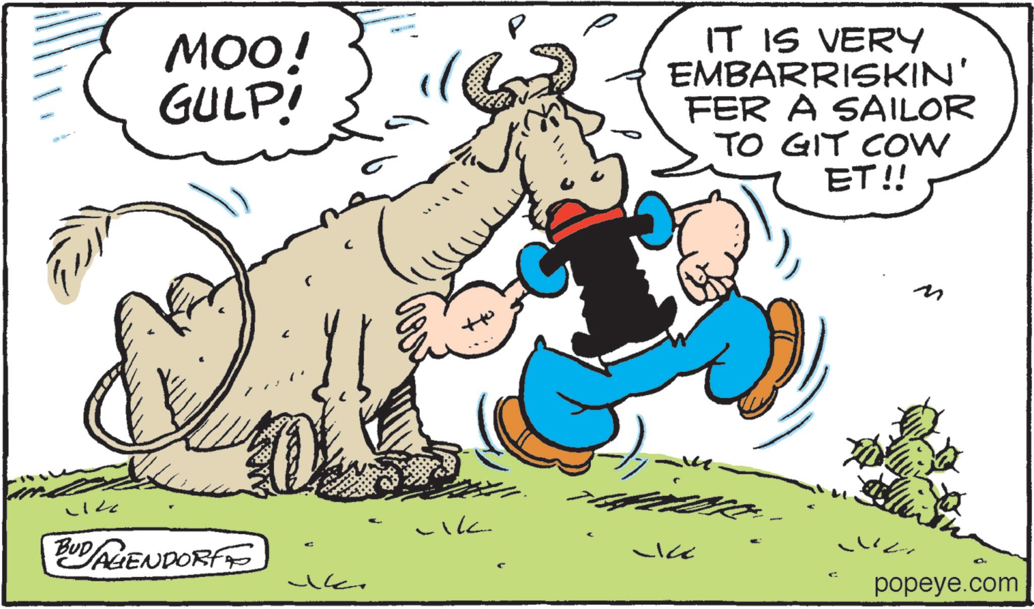 Animated cartoon OCR: MOO! GULP! C IT IS VERY EMBARRISKIN' FER A SAILOR TO GIT COW ET!! M ?? BUD AGENDORFF -ICE popeye.com MOO ! GULP ! C IT IS VERY EMBARRISKIN ' FER A SAILOR TO GIT COW ET !! M ?? BUD AGENDORFF -ICE popeye.com