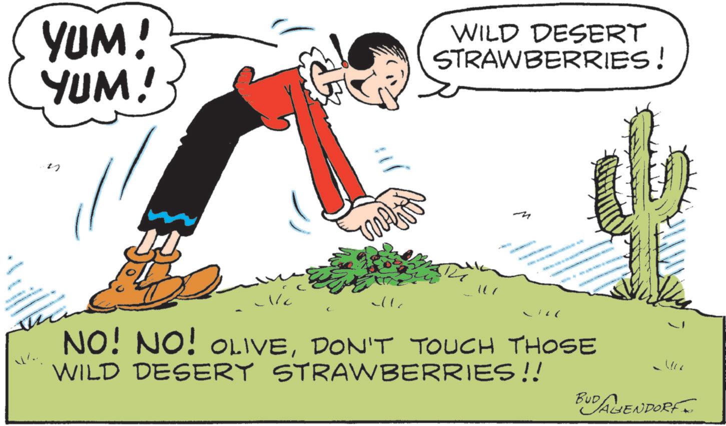 Fiction OCR: YUM! YUM! WILD DESERT STRAWBERRIES! 107 W/ all NO! NO! OLIVEDON'T TOUCH THOSE WILD DESERY STRAWBERRIES!! BUD AHENDORF YUM ! YUM ! WILD DESERT STRAWBERRIES ! 107 W / all NO ! NO ! OLIVEDON'T TOUCH THOSE WILD DESERY STRAWBERRIES !! BUD AHENDORF