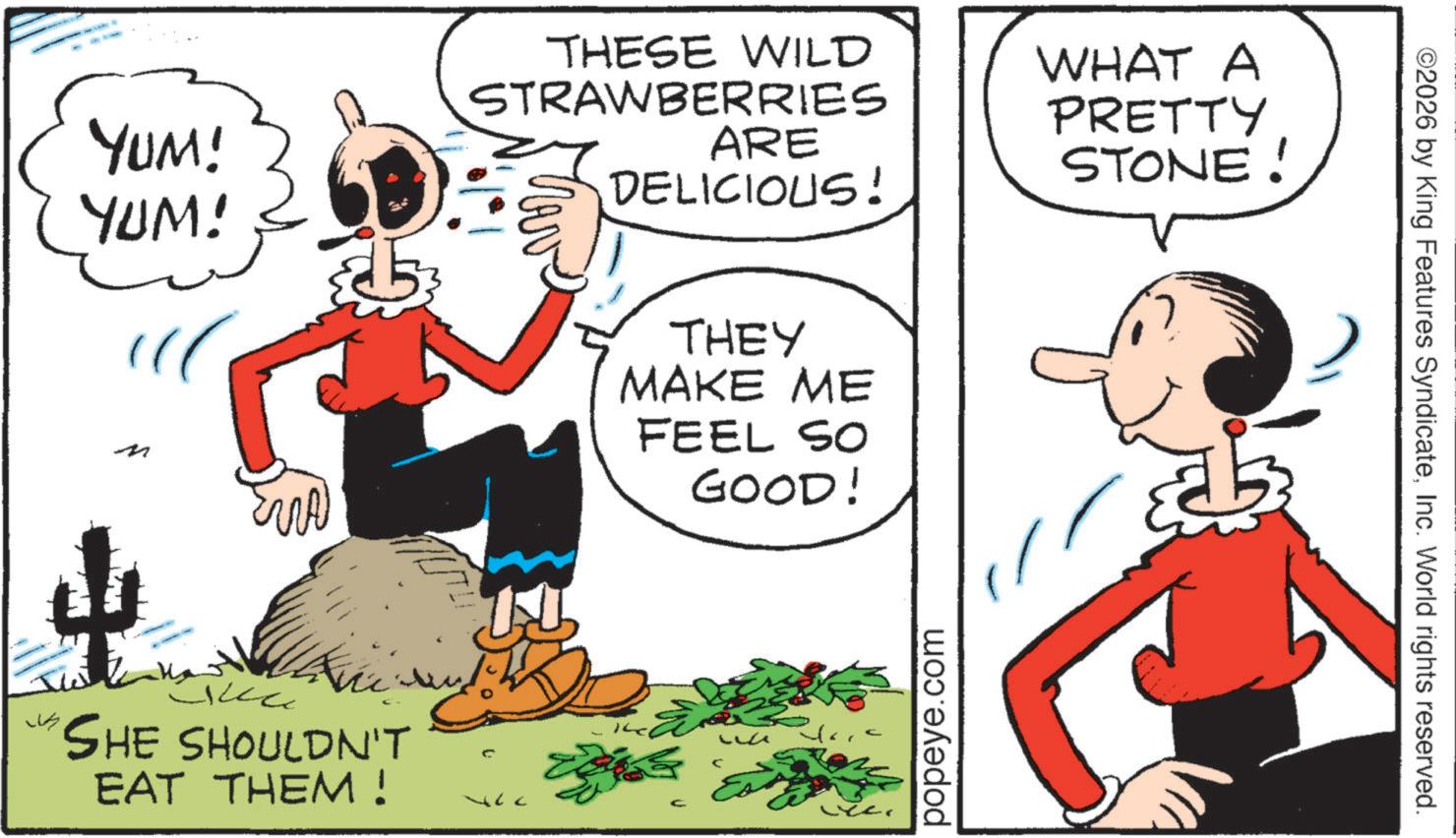Comics OCR: ? YUM! YUM! THESE WILD STRAWBERRIES ARE DELICIOUS! n ?? succ SHE SHOULDN'T EAT THEM! THEY MAKE ME FEEL SO GOOD! popeye.com WHAT A PRETTY STONE! ©2026 by King Features SyndicateInc. World rights reserved. ? YUM ! YUM ! THESE WILD STRAWBERRIES ARE DELICIOUS ! n ?? succ SHE SHOULDN'T EAT THEM ! THEY MAKE ME FEEL SO GOOD ! popeye.com WHAT A PRETTY STONE ! © 2026 by King Features SyndicateInc. World rights reserved .