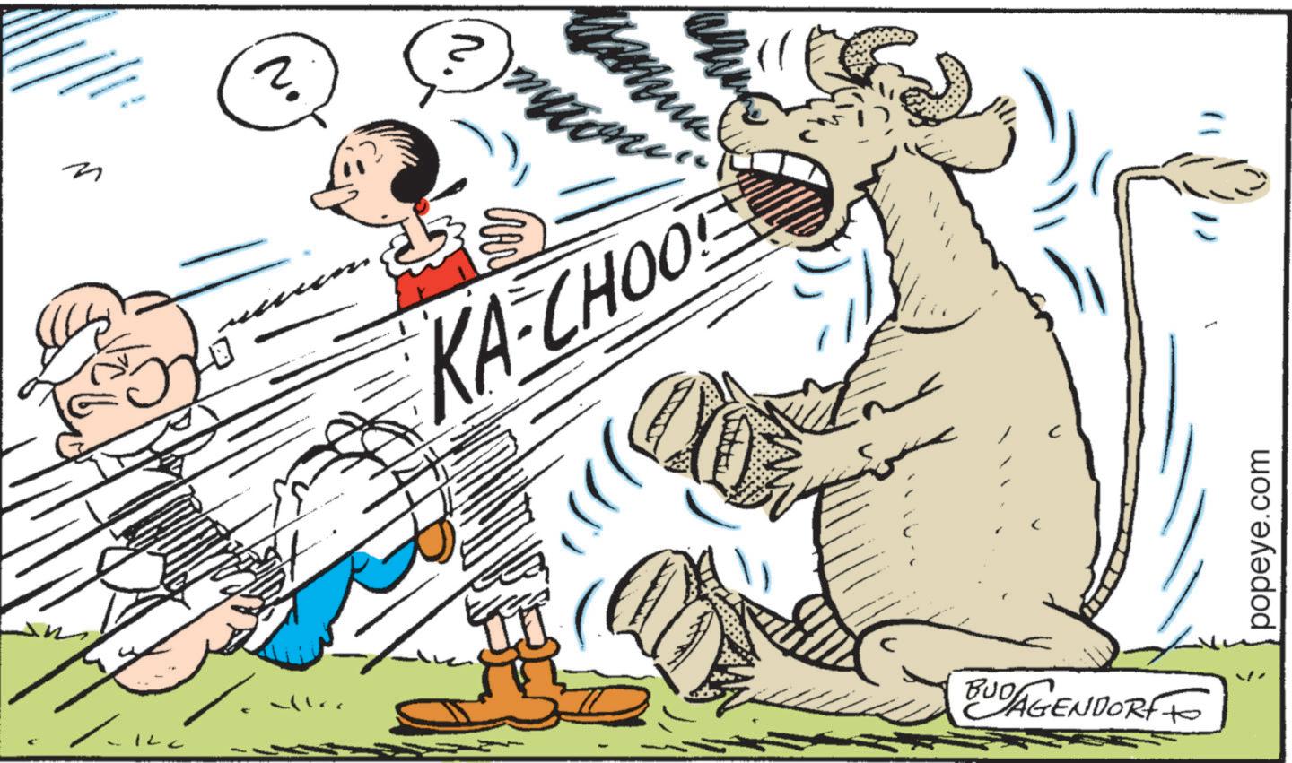 Fictional character OCR: n ? myton ??? www KA-CHOO BUD AGENDORF popeye.com n ? myton ??? www KA - CHOO BUD AGENDORF popeye.com
