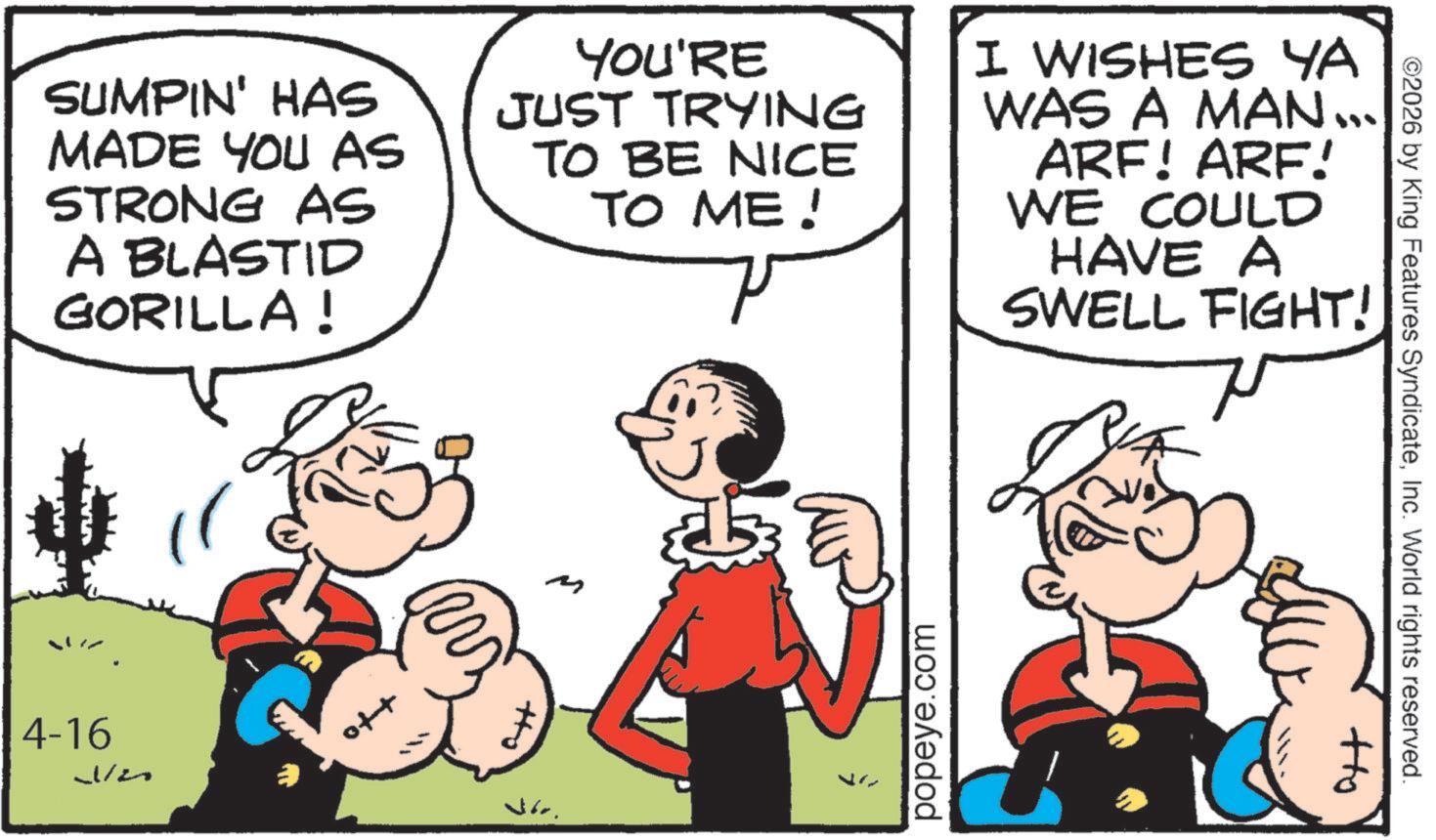 Comic book OCR: ©2026 by King Features SyndicateInc. World rights reserved. Ho SUMPIN' HAS MADE YOU AS STRONG AS A BLASTID GORILLA ! YOU'RE JUST TRYING TO BE NICE TO ME! I WISHES YA WAS A MAN... ARF! ARF! WE COULD HAVE A SWELL FIGHT! 4-16 + popeye.com © 2026 by King Features SyndicateInc. World rights reserved . Ho SUMPIN ' HAS MADE YOU AS STRONG AS A BLASTID GORILLA ! YOU'RE JUST TRYING TO BE NICE TO ME ! I WISHES YA WAS A MAN ... ARF ! ARF ! WE COULD HAVE A SWELL FIGHT ! 4-16 + popeye.com