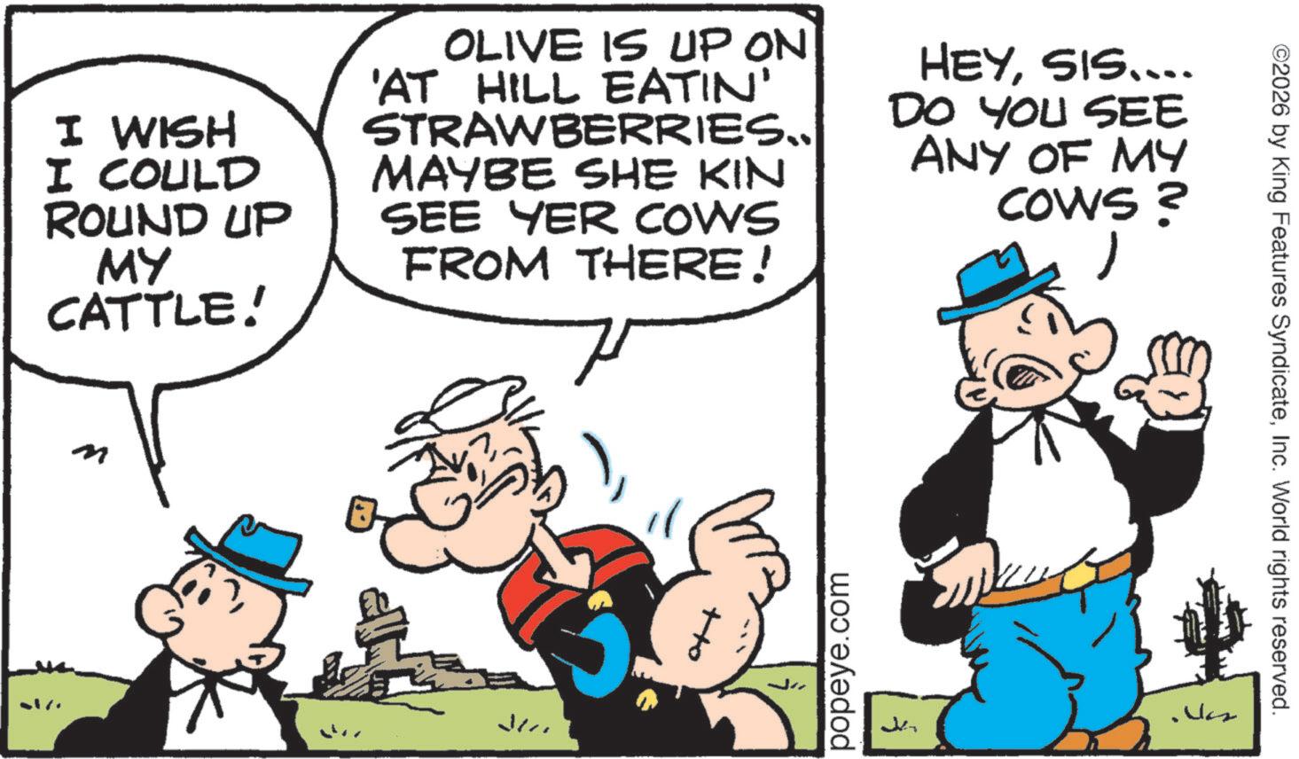 Publication OCR: ©2026 by King Features SyndicateInc. World rights reserved. I WISH I COULD ROUND UP MY CATTLE! OLIVE IS UP ON 'AT HILL EATIN' STRAWBERRIES.. MAYBE SHE KIN SEE YER COWS FROM THERE! 7 HEYSIS.... DO YOU SEE ANY OF MY COWS? M Jer to popeye.com J " Was © 2026 by King Features SyndicateInc. World rights reserved . I WISH I COULD ROUND UP MY CATTLE ! OLIVE IS UP ON ' AT HILL EATIN ' STRAWBERRIES .. MAYBE SHE KIN SEE YER COWS FROM THERE ! 7 HEYSIS .... DO YOU SEE ANY OF MY COWS ? M Jer to popeye.com J " Was
