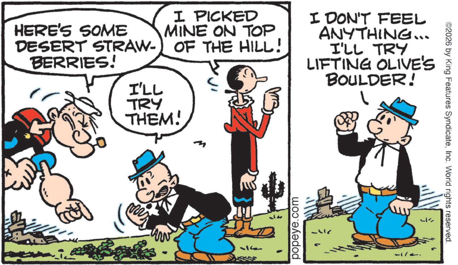 Animated cartoon OCR: HERE'S SOME I PICKED MINE ON TOP DESERT STRAW-) OF THE HILL! BERRIES! I'LL TRY THEM! I DON'T FEEL ANYTHING... I'LL TRY LIFTING OLIVE'S BOULDER! ??? 312 popeye.com ©2026 by King Features SyndicateInc. World rights reserved. HERE'S SOME I PICKED MINE ON TOP DESERT STRAW- ) OF THE HILL ! BERRIES ! I'LL TRY THEM ! I DON'T FEEL ANYTHING ... I'LL TRY LIFTING OLIVE'S BOULDER ! ??? 312 popeye.com © 2026 by King Features SyndicateInc. World rights reserved .
