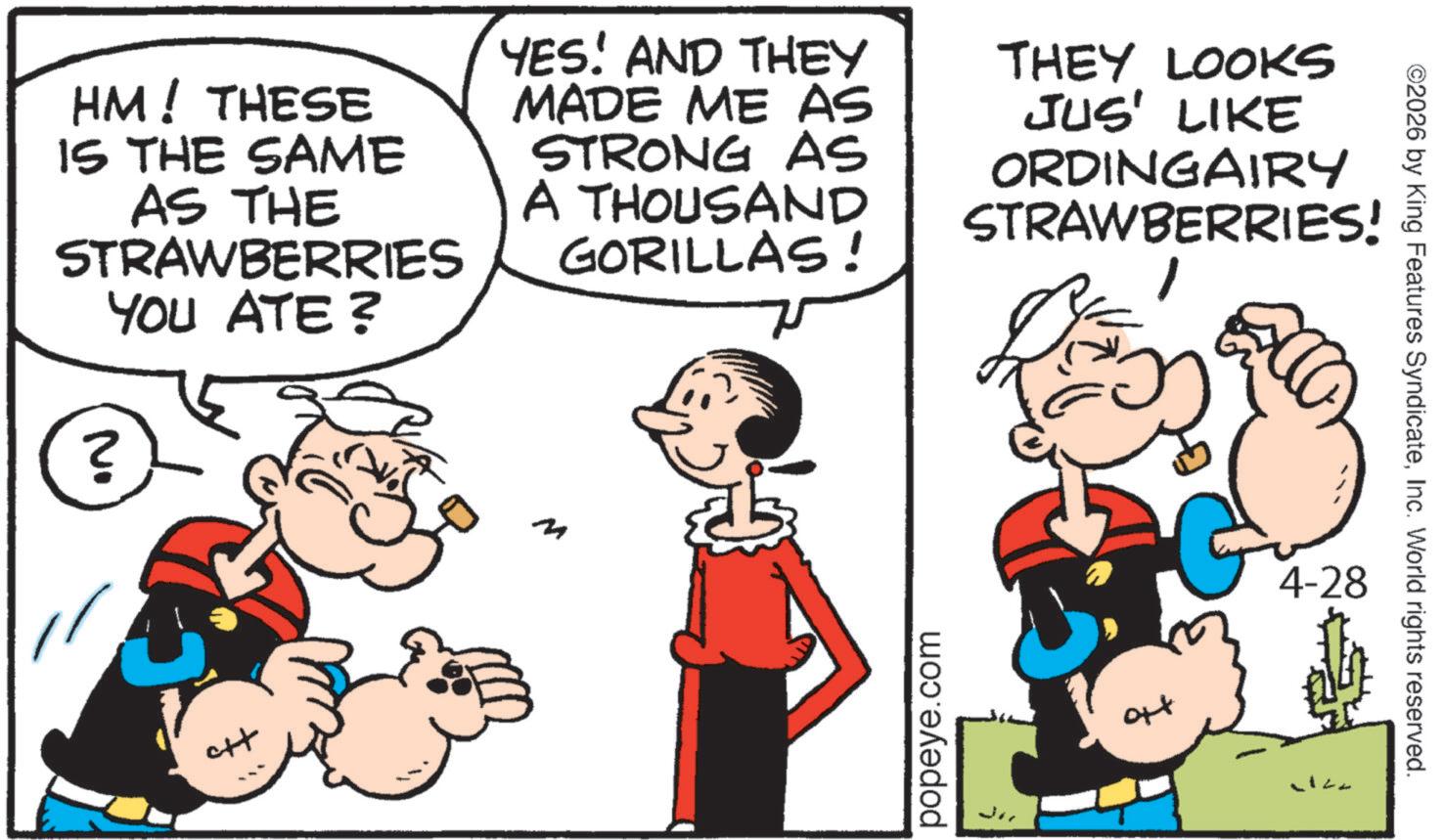 Comic book OCR: HM! THESE IS THE SAME AS THE STRAWBERRIES YOU ATE? YES! AND THEY MADE ME AS STRONG AS A THOUSAND GORILLAS! THEY LOOKS JUS' LIKE ORDINGAIRY STRAWBERRIES! 1 No cit M popeye.com ort ©2026 by King Features SyndicateInc. World rights reserved. 4-28 HM ! THESE IS THE SAME AS THE STRAWBERRIES YOU ATE ? YES ! AND THEY MADE ME AS STRONG AS A THOUSAND GORILLAS ! THEY LOOKS JUS ' LIKE ORDINGAIRY STRAWBERRIES ! 1 No cit M popeye.com ort © 2026 by King Features SyndicateInc. World rights reserved . 4-28