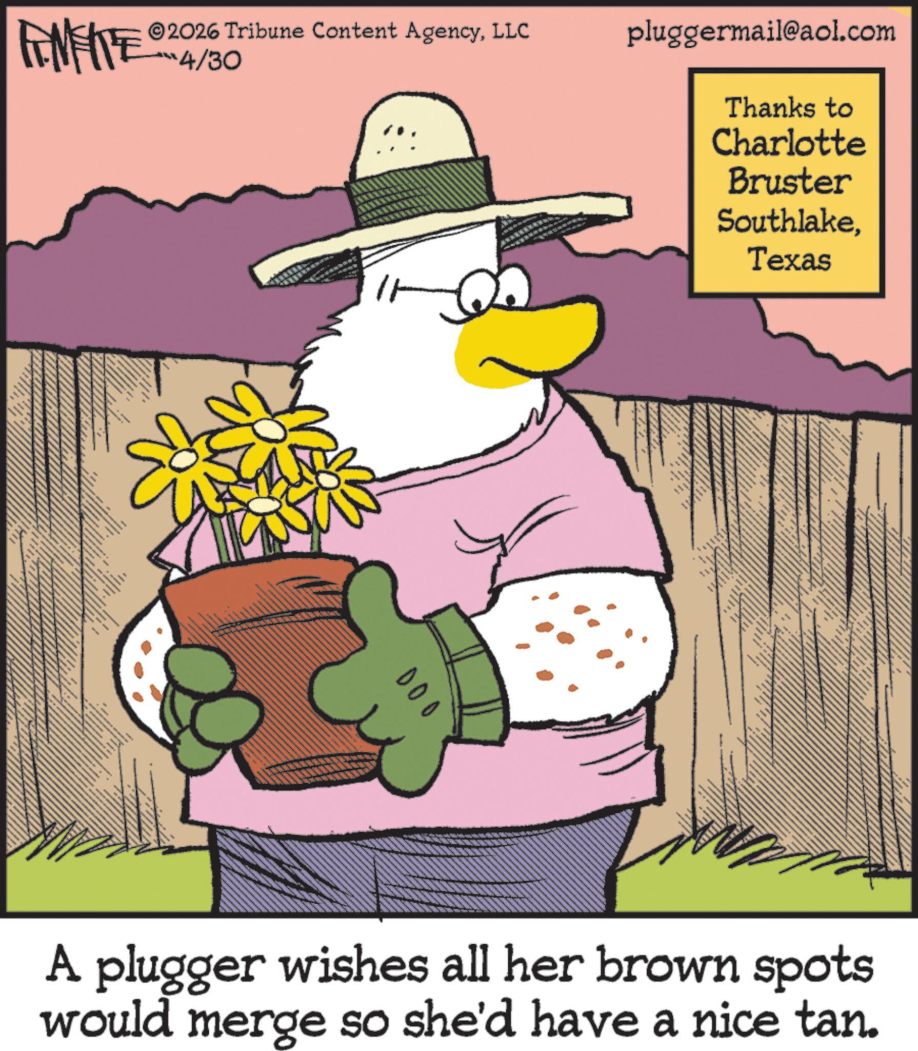 Photo caption OCR: METE 2026 Tribune Content AgencyLLC pluggermail@aol.com 4/30 Thanks to DOO Charlotte Bruster SouthlakeTexas A plugger wishes all her brown spots would merge so she'd have a nice tan. METE 2026 Tribune Content AgencyLLC pluggermail@aol.com 4/30 Thanks to DOO Charlotte Bruster SouthlakeTexas A plugger wishes all her brown spots would merge so she'd have a nice tan .