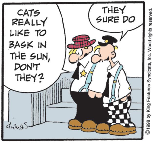 Costume Hat OCR: CATS REALLY LIKE TO THEY SURE DO BASK IN THE SUNDON'T THEY? C dumas. ©1998 by King Features SyndicateInc. World rights reserved. CATS REALLY LIKE TO THEY SURE DO BASK IN THE SUNDON'T THEY ? C dumas . © 1998 by King Features SyndicateInc. World rights reserved .