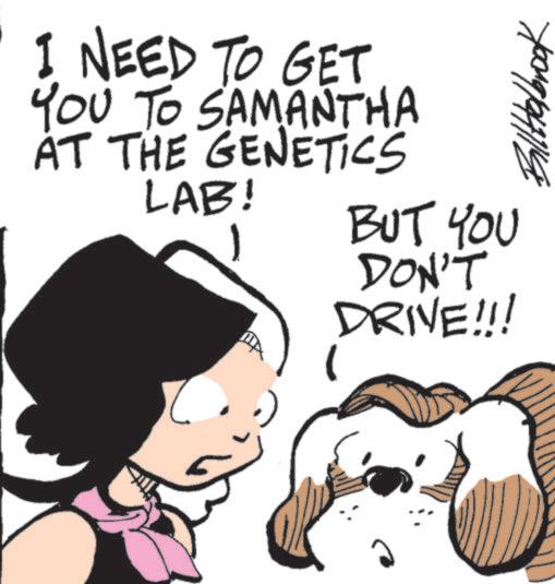 Graphics OCR: Billttelbrook I NEED TO GET YOU TO SAMANTHA AT THE GENETICS LAB! BUT YOU DON'T DRIVE!!! A Billttelbrook I NEED TO GET YOU TO SAMANTHA AT THE GENETICS LAB ! BUT YOU DON'T DRIVE !!! A