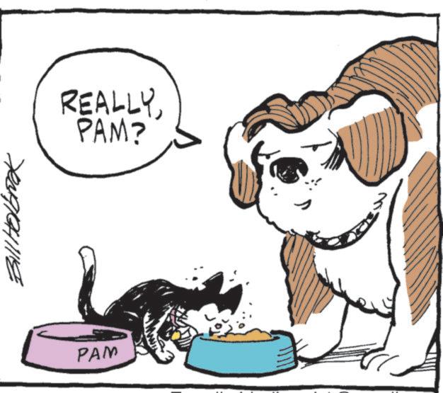 Line art OCR: Bill Holbrook PAM REALLYPAM? Bill Holbrook PAM REALLYPAM ?