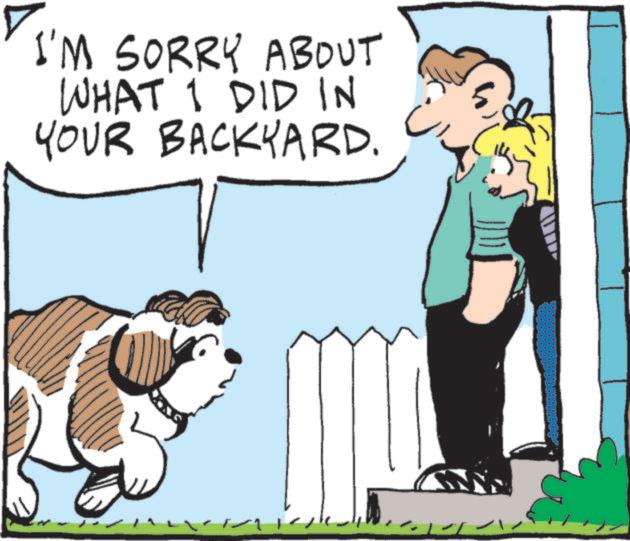Happiness OCR: I'M SORRY ABOUT WHAT I DID IN YOUR BACKYARD. I'M SORRY ABOUT WHAT I DID IN YOUR BACKYARD .
