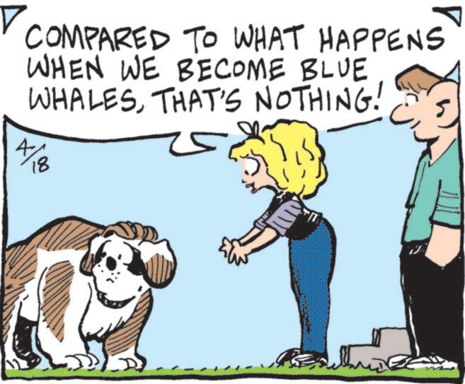 Pet Supply OCR: ? COMPARED TO WHAT HAPPENS WHEN WE BECOME BLUE WHALESTHAT'S NOTHING! 4/18 ? COMPARED TO WHAT HAPPENS WHEN WE BECOME BLUE WHALESTHAT'S NOTHING ! 4/18