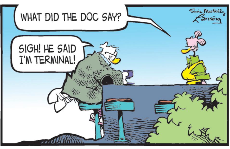 Fictional character OCR: WHAT DID THE DOC SAY? SIGH! HE SAID I'M TERMINAL! ? Susie MacNelly Lansing WHAT DID THE DOC SAY ? SIGH ! HE SAID I'M TERMINAL ! ? Susie MacNelly Lansing