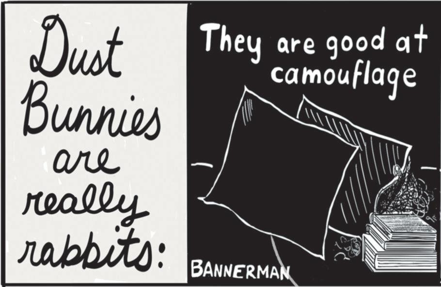 Handwriting OCR: Dust They Bunnies They are good at camouflage are really rabbits: BANNERMAN Dust They Bunnies They are good at camouflage are really rabbits : BANNERMAN