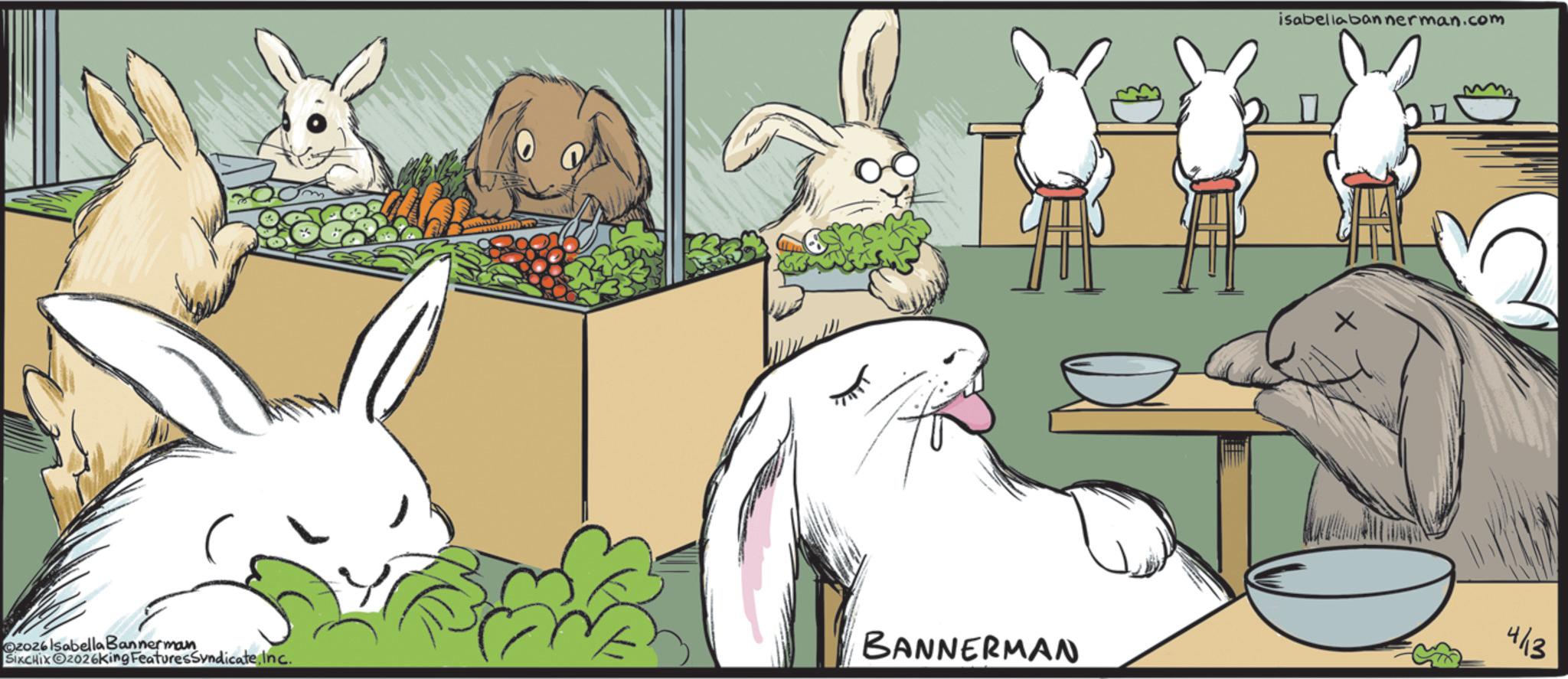 Cottontail rabbit OCR: isabellabannerman.com Oz026 Isabella Bannerman SIKCHIXO2026King FeaturesSyndicateInc. BANNERMAN 4/13 isabellabannerman.com Oz026 Isabella Bannerman SIKCHIXO2026King FeaturesSyndicateInc. BANNERMAN 4/13