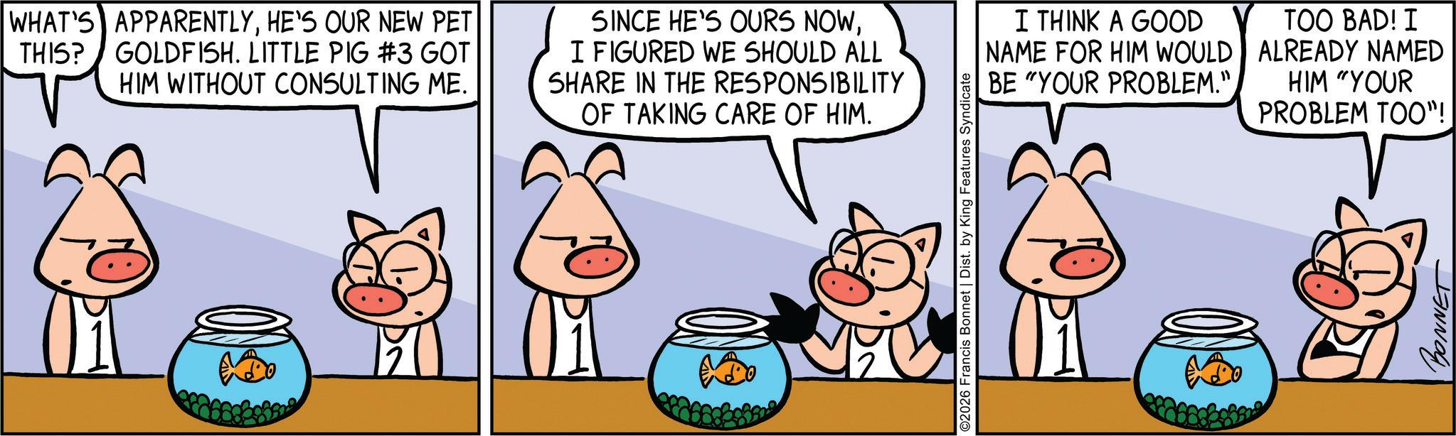 Suidae OCR: WHAT'S APPARENTLYHE'S OUR NEW PET THIS? GOLDFISH. LITTLE PIG #3 GOT HIM WITHOUT CONSULTING ME. SINCE HE'S OURS NOWI FIGURED WE SHOULD ALL SHARE IN THE RESPONSIBILITY OF TAKING CARE OF HIM. ©2026 Francis Bonnet | Dist. by King Features Syndicate I THINK A GOOD NAME FOR HIM WOULD BE "YOUR PROBLEM." TOO BAD! I ALREADY NAMED HIM "YOUR PROBLEM TOO"! BONNET WHAT'S APPARENTLYHE'S OUR NEW PET THIS ? GOLDFISH . LITTLE PIG # 3 GOT HIM WITHOUT CONSULTING ME . SINCE HE'S OURS NOWI FIGURED WE SHOULD ALL SHARE IN THE RESPONSIBILITY OF TAKING CARE OF HIM . © 2026 Francis Bonnet | Dist . by King Features Syndicate I THINK A GOOD NAME FOR HIM WOULD BE " YOUR PROBLEM . " TOO BAD ! I ALREADY NAMED HIM " YOUR PROBLEM TOO " ! BONNET