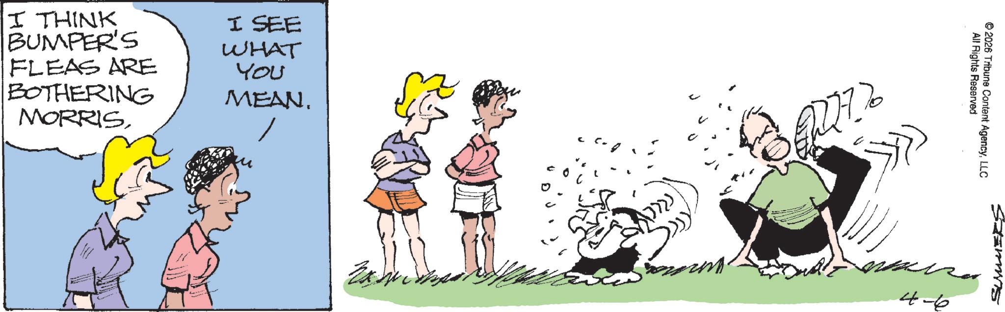 Fiction OCR: I THINK BUMPER'S FLEAS ARE BOTHERING MORRISI SEE WHAT You MEAN. ??? 4-6 All Rights Reserved 2026 Tribune Content AgencyLLC SUMMERS I THINK BUMPER'S FLEAS ARE BOTHERING MORRISI SEE WHAT You MEAN . ??? 4-6 All Rights Reserved 2026 Tribune Content AgencyLLC SUMMERS