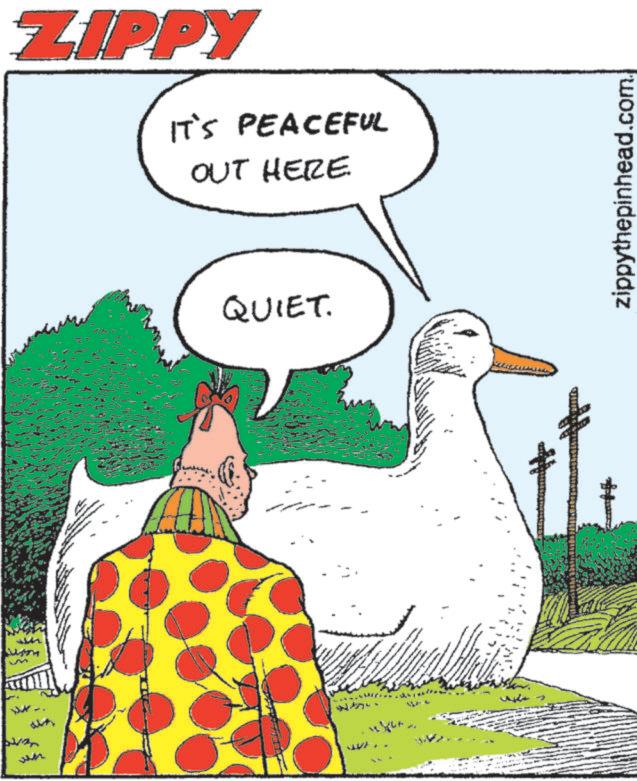 Fiction OCR: ZIPPY IT'S PEACEFUL OUT HERE QUIET. ?. zippythepinhead.com. ZIPPY IT'S PEACEFUL OUT HERE QUIET . ? . zippythepinhead.com .