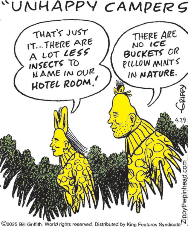 Animated cartoon OCR: “UNHAPPY CAMPERS THAT'S JUST IT... THERE ARE A LOT LESS INSECTS TO NAME IN OUR HOTEL ROOM.!! THERE ARE NO ICE BUCKETS OR PILLOW MINTS IN NATURE. ©2026 Bill Griffith. World rights reserved. Distributed by King Features Syndicate Zippythepinhead.com GRIFFY 4.29 “ UNHAPPY CAMPERS THAT'S JUST IT ... THERE ARE A LOT LESS INSECTS TO NAME IN OUR HOTEL ROOM . !! THERE ARE NO ICE BUCKETS OR PILLOW MINTS IN NATURE . © 2026 Bill Griffith . World rights reserved . Distributed by King Features Syndicate Zippythepinhead.com GRIFFY 4.29