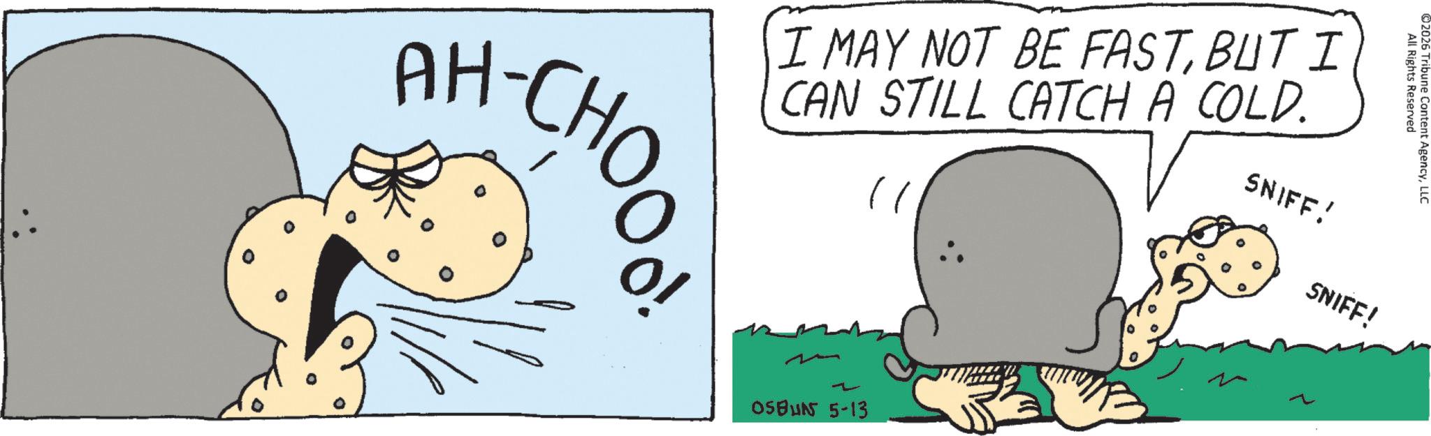 Animated cartoon OCR: I MAY NOT BE FASTBUT I CAN STILL CATCH A COLD. SNIFF! All Rights Reserved ©2026 Tribune Content AgencyLLC SNIFF! AH-CHOOD OSUN 5-13 I MAY NOT BE FASTBUT I CAN STILL CATCH A COLD . SNIFF ! All Rights Reserved © 2026 Tribune Content AgencyLLC SNIFF ! AH - CHOOD OSUN 5-13
