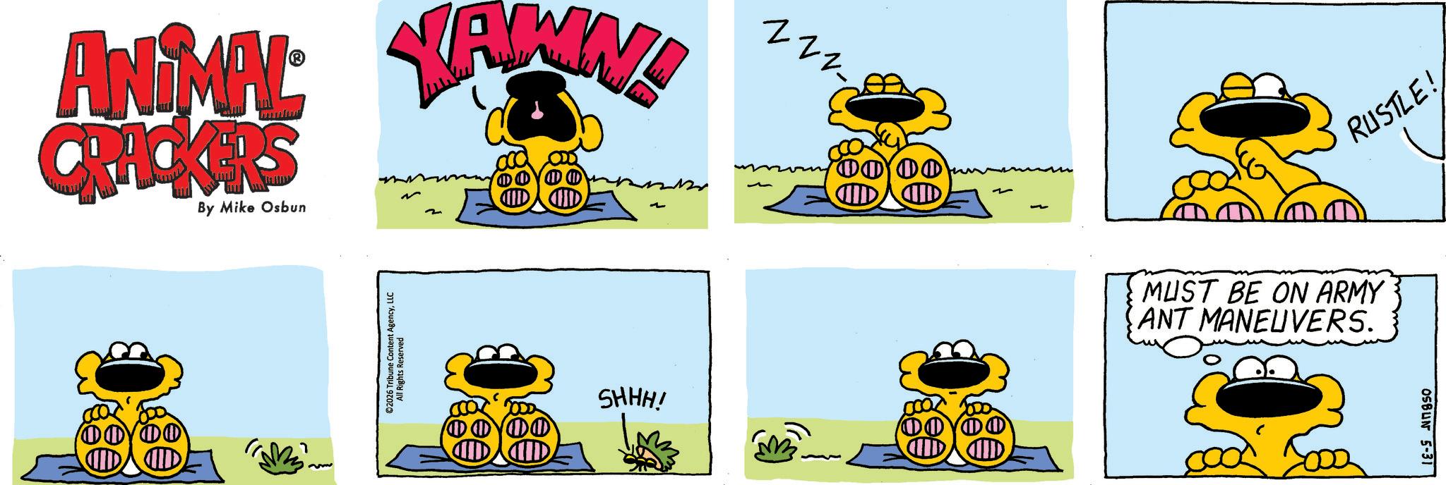 Graphics OCR: ANIMAL AMN! CRACKERS By Mike Osbun ???? ©2026 Tribune Content AgencyLLC All Rights Reserved DO SHHH! zzz- ??? IID 00 RUSTLE! MUST BE ON ARMY ANT MANEUVERS. OSBUN 5-31 ANIMAL AMN ! CRACKERS By Mike Osbun ???? © 2026 Tribune Content AgencyLLC All Rights Reserved DO SHHH ! zzz- ??? IID 00 RUSTLE ! MUST BE ON ARMY ANT MANEUVERS . OSBUN 5-31