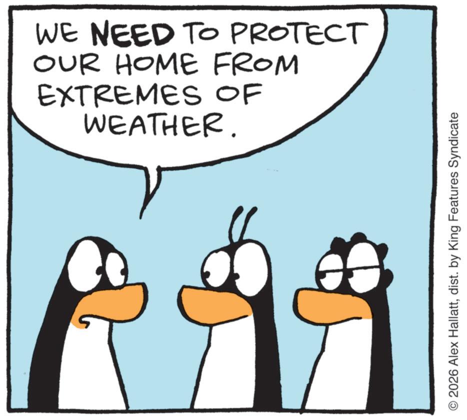 Fiction OCR: WE NEED TO PROTECT OUR HOME FROM EXTREMES OF WEATHER. O2026 Alex Hallattdist. by King Features Syndicate WE NEED TO PROTECT OUR HOME FROM EXTREMES OF WEATHER . O2026 Alex Hallattdist . by King Features Syndicate