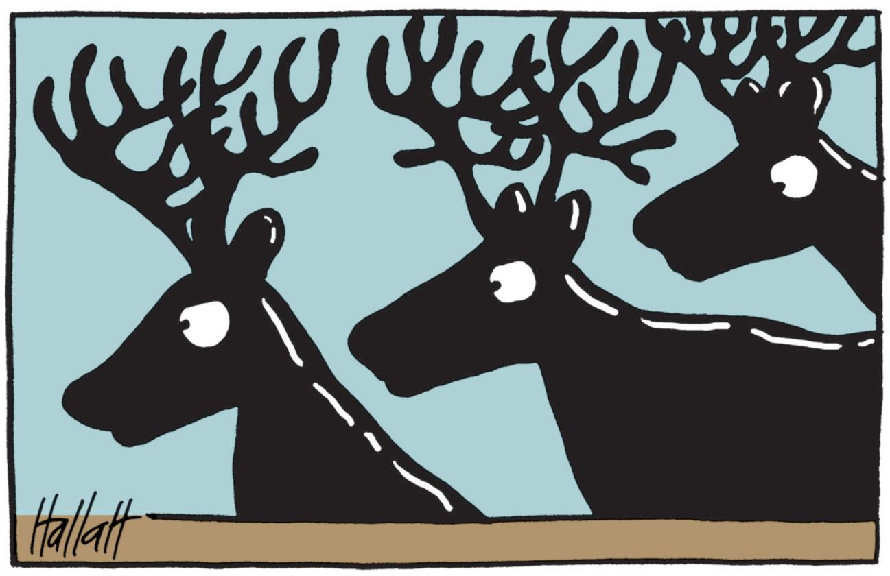 Livestock OCR: Hallatt Hallatt