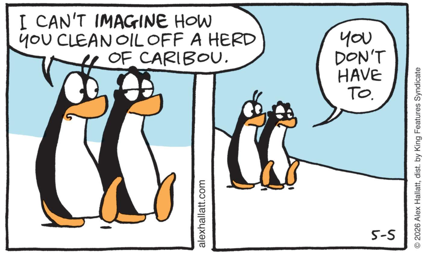 Photo caption OCR: I CAN'T IMAGINE HOW YOU CLEAN OIL OFF A HERD OF CARIBOU. alexhallatt.com 5-5 You DON'T HAVE TO. © 2026 Alex Hallattdist. by King Features Syndicate I CAN'T IMAGINE HOW YOU CLEAN OIL OFF A HERD OF CARIBOU . alexhallatt.com 5-5 You DON'T HAVE TO . © 2026 Alex Hallattdist . by King Features Syndicate