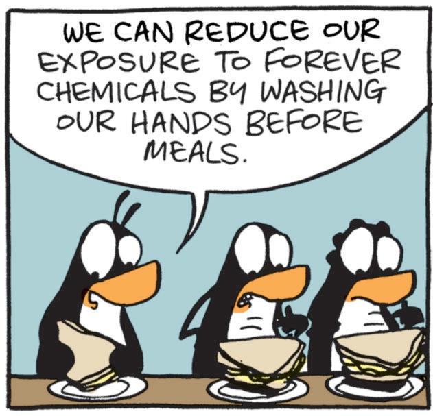 Clip art OCR: WE CAN REDUCE OUR EXPOSURE TO FOREVER CHEMICALS BY WASHING OUR HANDS BEFORE MEALS. WE CAN REDUCE OUR EXPOSURE TO FOREVER CHEMICALS BY WASHING OUR HANDS BEFORE MEALS .