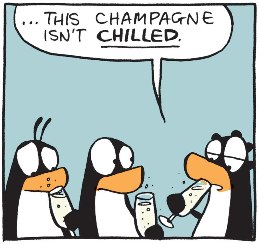 Flightless bird OCR: THIS CHAMPAGNE ISN'T CHILLED. THIS CHAMPAGNE ISN'T CHILLED .
