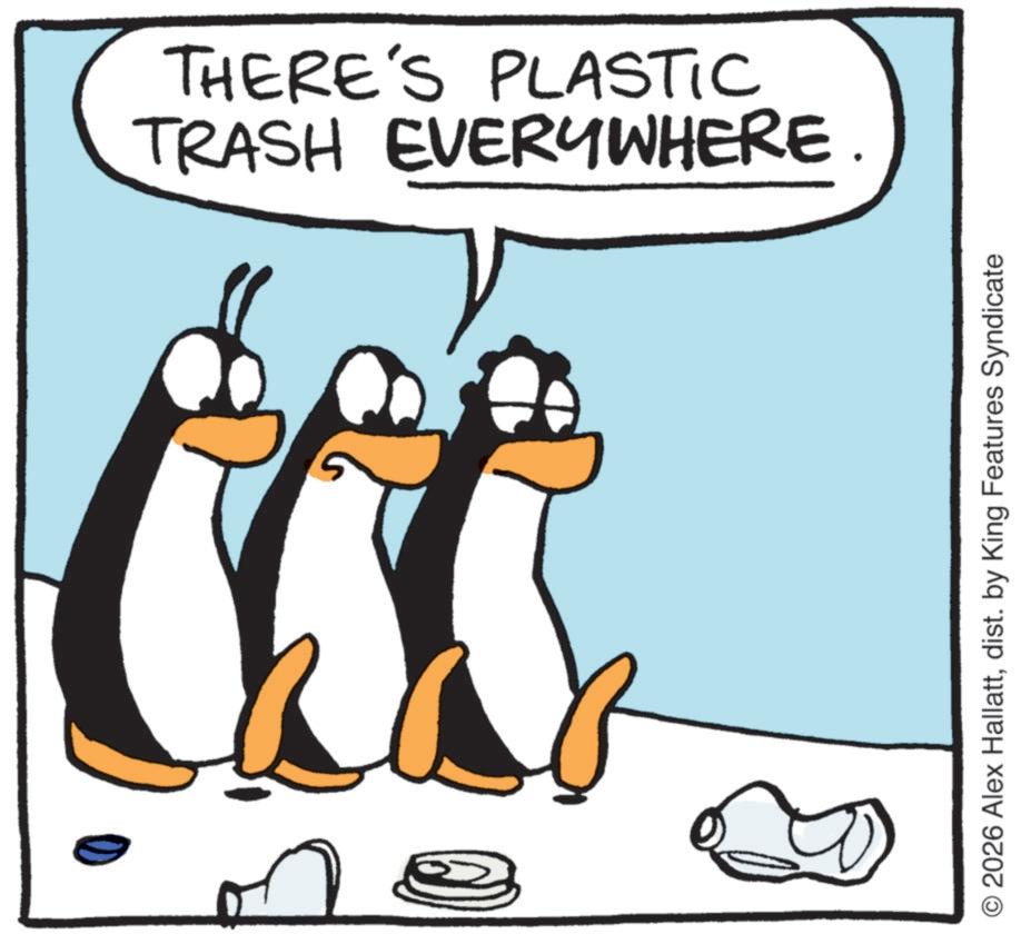 Animated cartoon OCR: TRASH EVERYWHERE. THERE'S PLASTIC © 2026 Alex Hallattdist. by King Features Syndicate TRASH EVERYWHERE . THERE'S PLASTIC © 2026 Alex Hallattdist . by King Features Syndicate