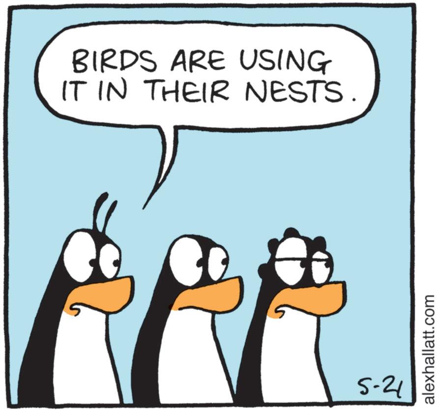Photo caption OCR: BIRDS ARE USING IT IN THEIR NESTS. 5-21 alexhallatt.com BIRDS ARE USING IT IN THEIR NESTS . 5-21 alexhallatt.com