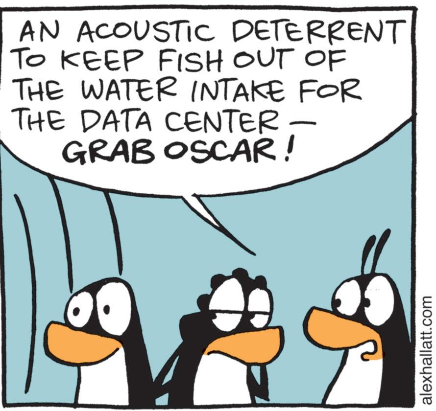 Photo caption OCR: AN ACOUSTIC DETERRENT TO KEEP FISH OUT OF THE WATER INTAKE FOR THE DATA CENTER - GRAB OSCAR! alexhallatt.com AN ACOUSTIC DETERRENT TO KEEP FISH OUT OF THE WATER INTAKE FOR THE DATA CENTER - GRAB OSCAR ! alexhallatt.com