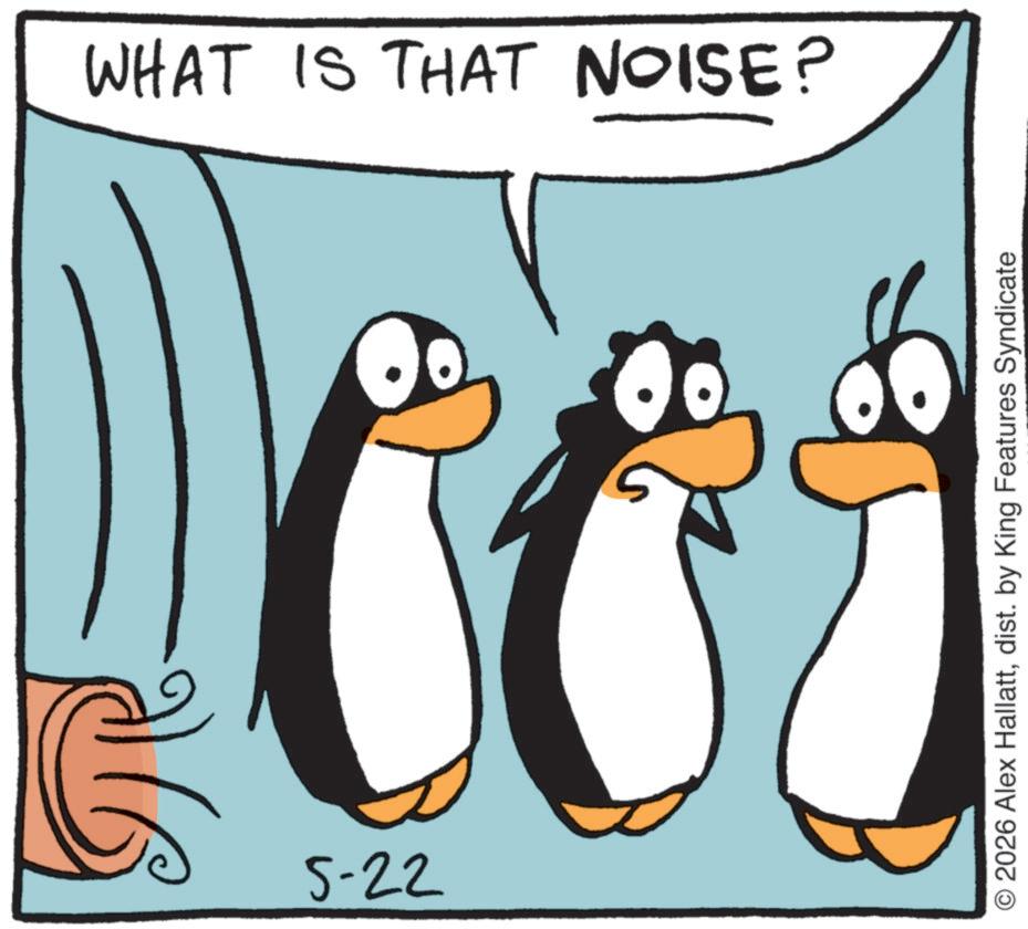 Graphics OCR: 5-22 WHAT IS THAT NOISE? O2026 Alex Hallattdist. by King Features Syndicate 5-22 WHAT IS THAT NOISE ? O2026 Alex Hallattdist . by King Features Syndicate