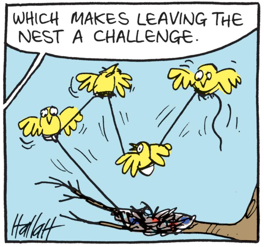 Tail OCR: WHICH MAKES LEAVING THE NEST A CHALLENGE. Hallat WHICH MAKES LEAVING THE NEST A CHALLENGE . Hallat