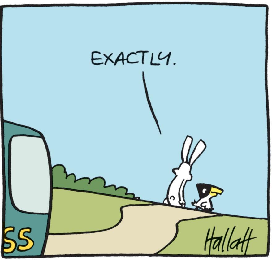 Domestic rabbit OCR: SS EXACTLY. Hallatt SS EXACTLY . Hallatt