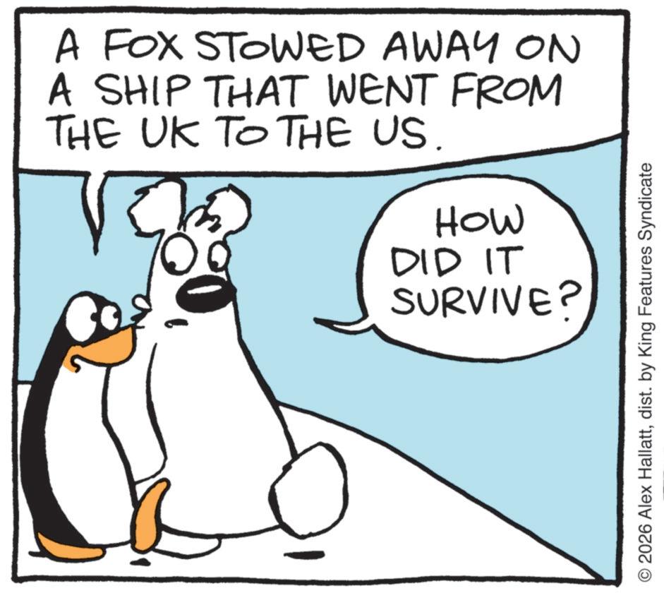 Fiction OCR: A FOX STOWED AWAY ON A SHIP THAT WENT FROM THE UK TO THE US. HOW DID IT SURVIVE? © 2026 Alex Hallattdist. by King Features Syndicate A FOX STOWED AWAY ON A SHIP THAT WENT FROM THE UK TO THE US . HOW DID IT SURVIVE ? © 2026 Alex Hallattdist . by King Features Syndicate