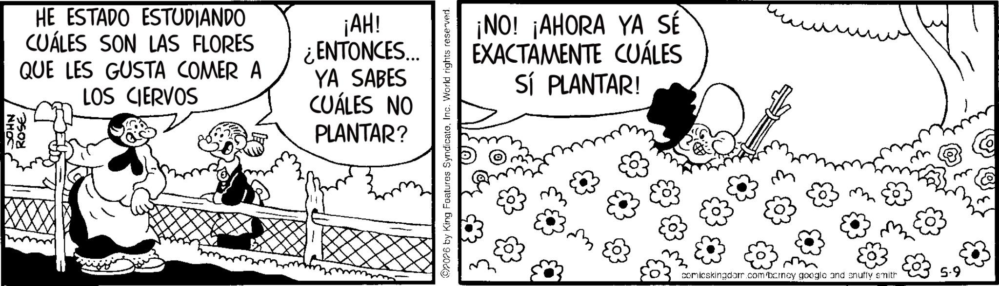 Animated cartoon OCR: NHOC ROSE HE ESTADO ESTUDIANDO CUÁLES SON LAS FLORES QUE LES GUSTA COMER A LOS CIERVOS ¡AH! ¿ENTONCES... YA SABES CUÁLES NO PLANTAR? (02026 by King Features SyndicateInc. World rights reserved. SÉ ¡NO! ¡AHORA YA SE EXACTAMENTE CUÁLES SÍ PLANTAR! comicskingdom.com/barney google and snuffy smith 5.9 NHOC ROSE HE ESTADO ESTUDIANDO CUÁLES SON LAS FLORES QUE LES GUSTA COMER A LOS CIERVOS ¡ AH ! ¿ ENTONCES ... YA SABES CUÁLES NO PLANTAR ? ( 02026 by King Features SyndicateInc. World rights reserved . SÉ ¡ NO ! ¡ AHORA YA SE EXACTAMENTE CUÁLES SÍ PLANTAR ! comicskingdom.com/barney google and snuffy smith 5.9