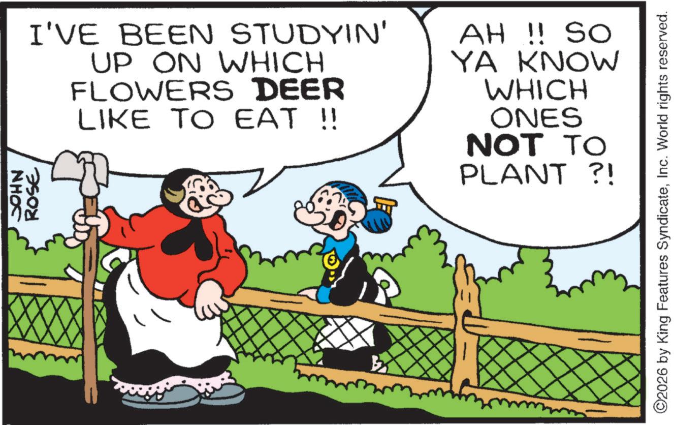 Fiction OCR: JOHN ROSE I'VE BEEN STUDYIN' UP ON WHICH FLOWERS DEER LIKE TO EAT !! AH !! SO YA KNOW WHICH ONES NOT TO PLANT ?! ©2026 by King Features SyndicateInc. World rights reserved. JOHN ROSE I'VE BEEN STUDYIN ' UP ON WHICH FLOWERS DEER LIKE TO EAT !! AH !! SO YA KNOW WHICH ONES NOT TO PLANT ? ! © 2026 by King Features SyndicateInc. World rights reserved .