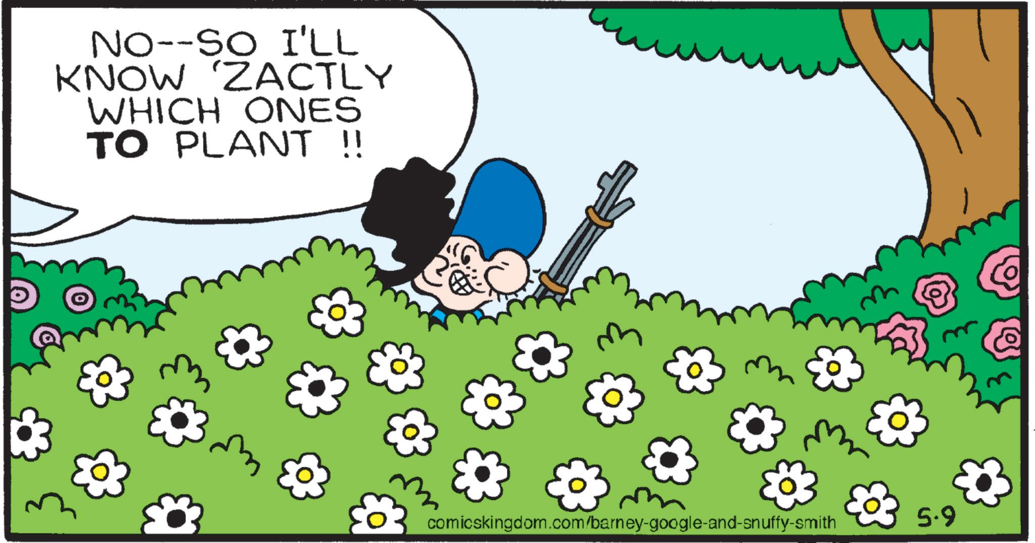 Graphics OCR: NO--SO I'LL KNOW 'ZACTLY WHICH ONES TO PLANT !! comicskingdom.com/barney-google-and-snuffy-smith 5.9 NO -- SO I'LL KNOW ' ZACTLY WHICH ONES TO PLANT !! comicskingdom.com/barney-google-and-snuffy-smith 5.9