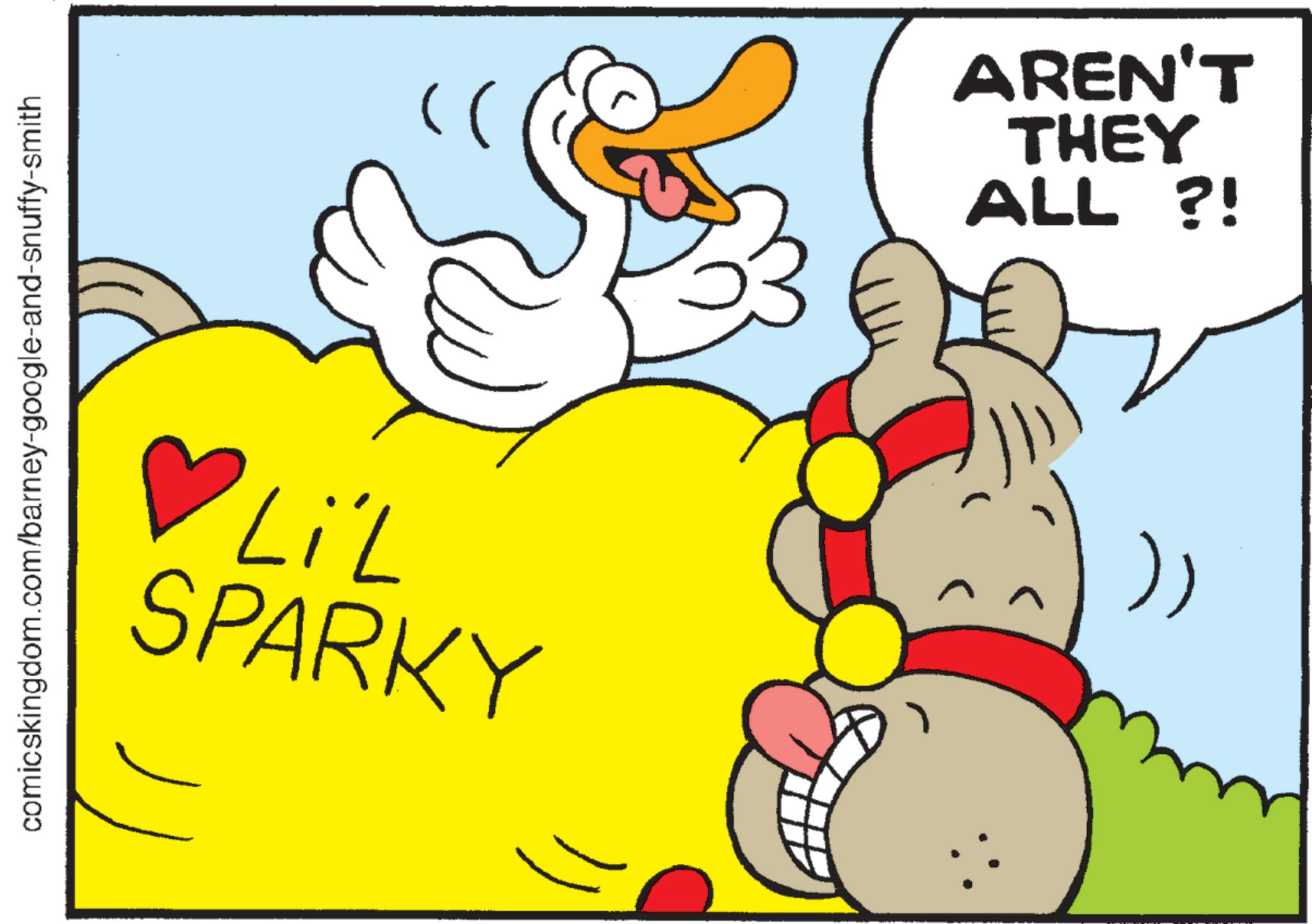 Animation OCR: comicskingdom.com/barney-google-and-snuffy-smith 7SPARKY AREN'T THEY ALL ?! comicskingdom.com/barney-google-and-snuffy-smith 7! 7SPARKY AREN'T THEY ALL ? !