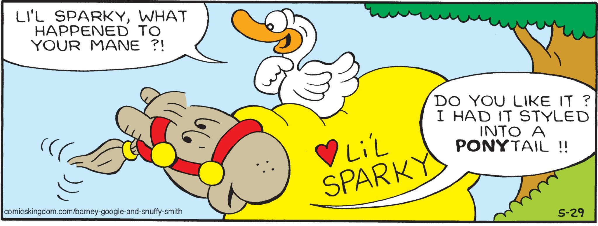 Fiction OCR: LI'L SPARKYWHAT HAPPENED TO YOUR MANE ?! comicskingdom.com/barney-google-and-snuffy-smith ?LiL SPARKY DO YOU LIKE IT ? I HAD IT STYLED INTO A PONYTAIL !! 5-29 LI'L SPARKYWHAT HAPPENED TO YOUR MANE ? ! comicskingdom.com/barney-google-and-snuffy-smith ? LiL SPARKY DO YOU LIKE IT ? I HAD IT STYLED INTO A PONYTAIL !! 5-29