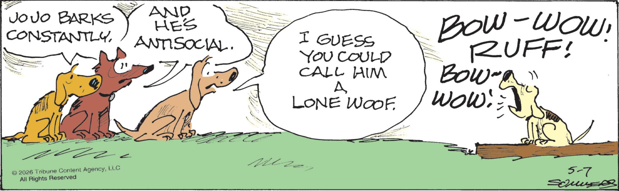 Canidae OCR: JOJO BARKS CONSTANTLYAND HES ANTISOCIAL. I GUESS YOU COULD CALL HIM A LONE WOOF. Bow-Wow! RUFF! Bow-a" Wow!. 2616 © 2026 Tribune Content AgencyLLC All Rights Reserved 2/8 0357. ?? 5-7 JOJO BARKS CONSTANTLYAND HES ANTISOCIAL . I GUESS YOU COULD CALL HIM A LONE WOOF . Bow - Wow ! RUFF ! Bow - a " Wow !. 2616 © 2026 Tribune Content AgencyLLC All Rights Reserved 2/8 0357 . ?? 5-7