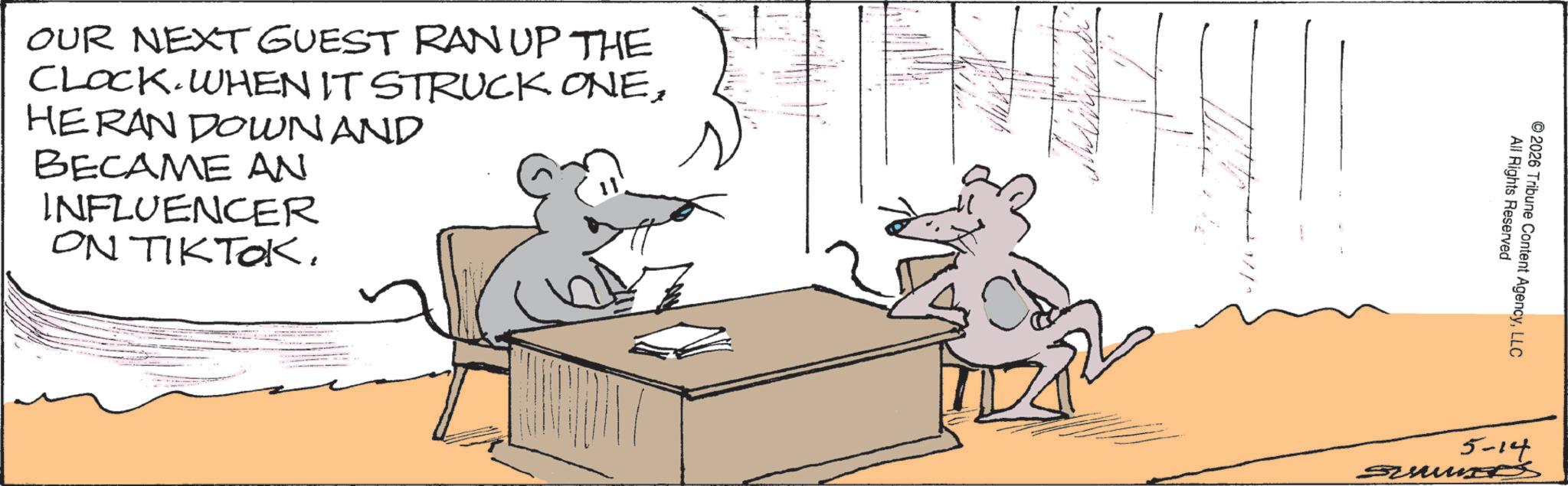 Rat OCR: OUR NEXT GUEST RAN UP THE CLOCK WHEN IT STRUCK ONEHERAN DOWN AND BECAME AN INFLUENCER ON TIKTOK. // All Rights Reserved ©2026 Tribune Content AgencyLLC 5-14 OUR NEXT GUEST RAN UP THE CLOCK WHEN IT STRUCK ONEHERAN DOWN AND BECAME AN INFLUENCER ON TIKTOK . // All Rights Reserved © 2026 Tribune Content AgencyLLC 5-14