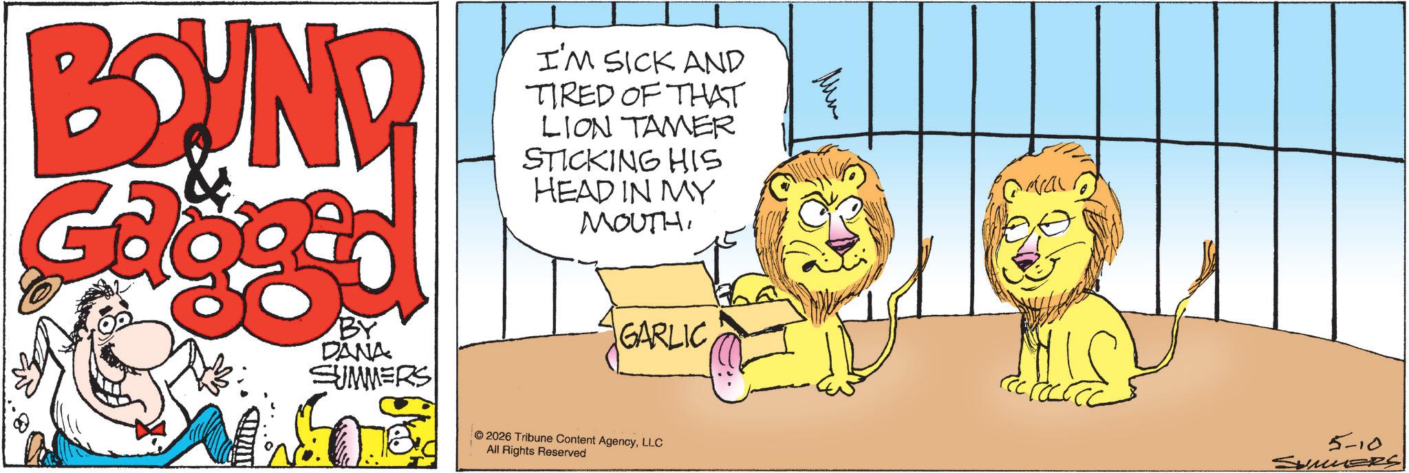 Panthera OCR: BOUND I'M SICK AND TIRED OF THAT LION TAMER STICKING HIS HEAD IN MY MOUTHBY DANA SUMMERS GARLIC ??? 2026 Tribune Content AgencyLLC All Rights Reserved 5-10 SUMMERS BOUND I'M SICK AND TIRED OF THAT LION TAMER STICKING HIS HEAD IN MY MOUTHBY DANA SUMMERS GARLIC ??? 2026 Tribune Content AgencyLLC All Rights Reserved 5-10 SUMMERS