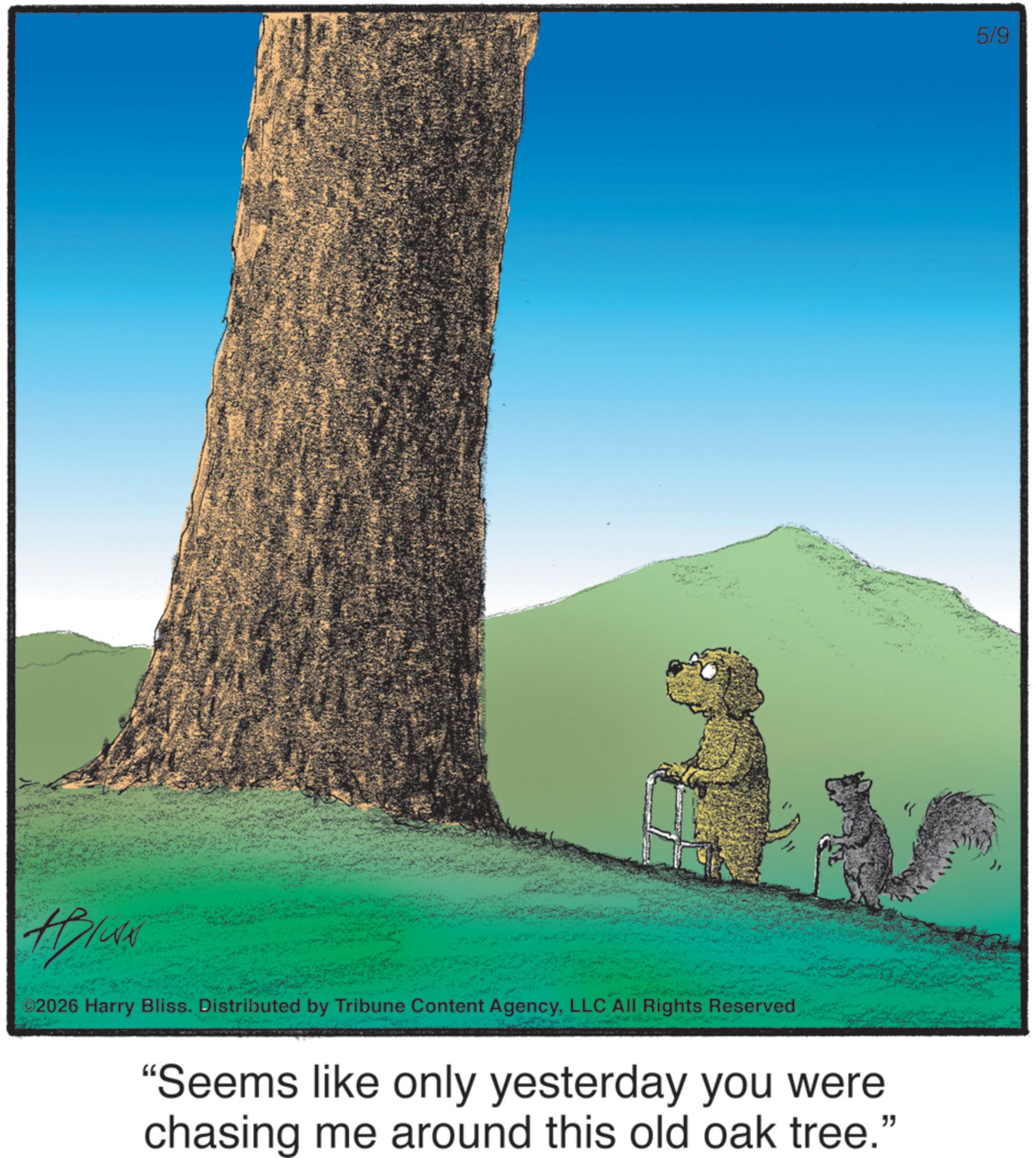 Groundhog OCR: #BICA 92026 Harry Bliss. Distributed by Tribune Content AgencyLLC All Rights Reserved "Seems like only yesterday you were chasing me around this old oak tree." 5/9 #BICA 92026 Harry Bliss . Distributed by Tribune Content AgencyLLC All Rights Reserved " Seems like only yesterday you were chasing me around this old oak tree . " 5/9