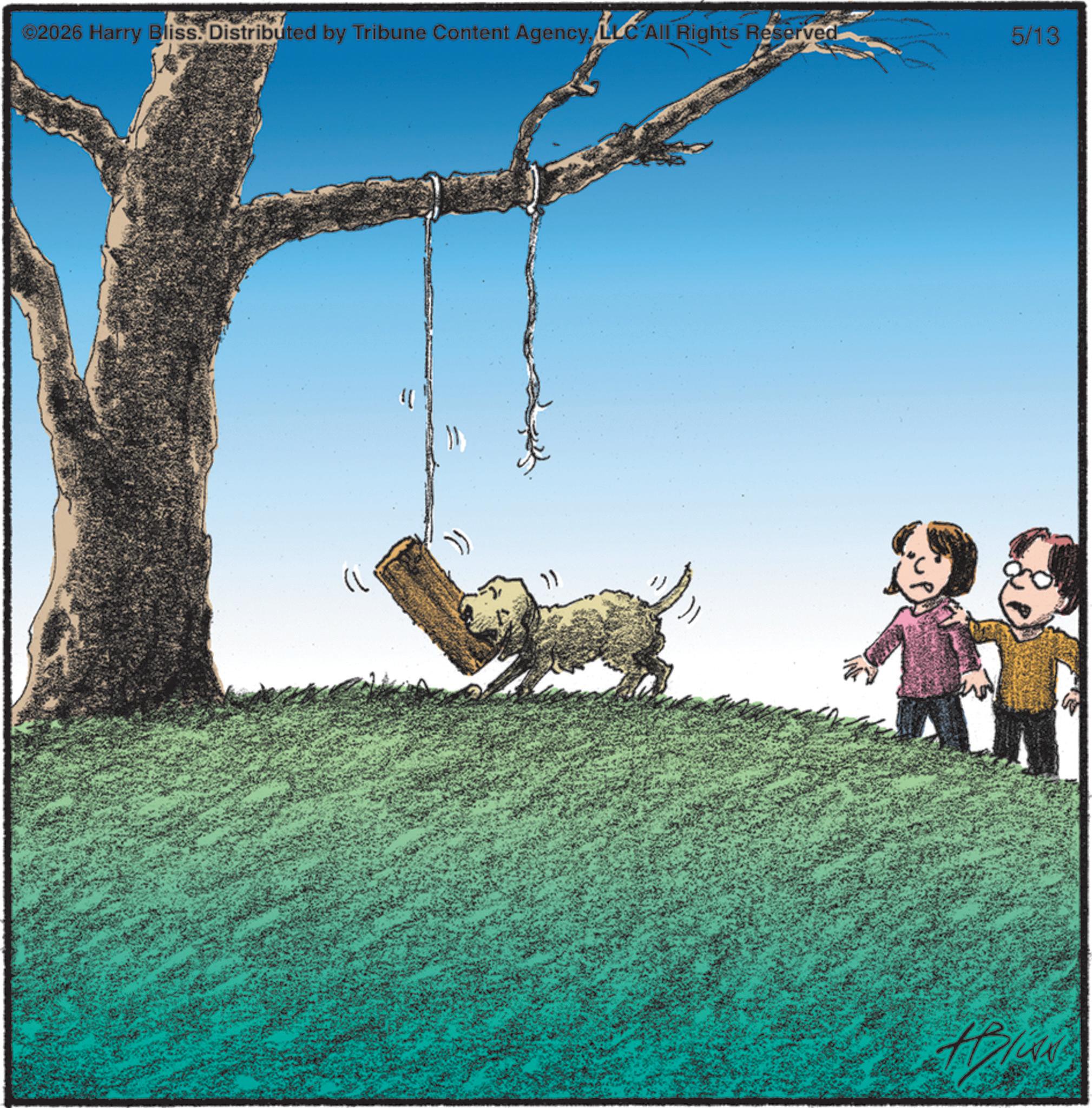 Fiction OCR: ©2026 Harry Bliss. Distributed by Tribune Content AgencyLLC All Rights Reserved ?? 5/13 © 2026 Harry Bliss . Distributed by Tribune Content AgencyLLC All Rights Reserved ?? 5/13