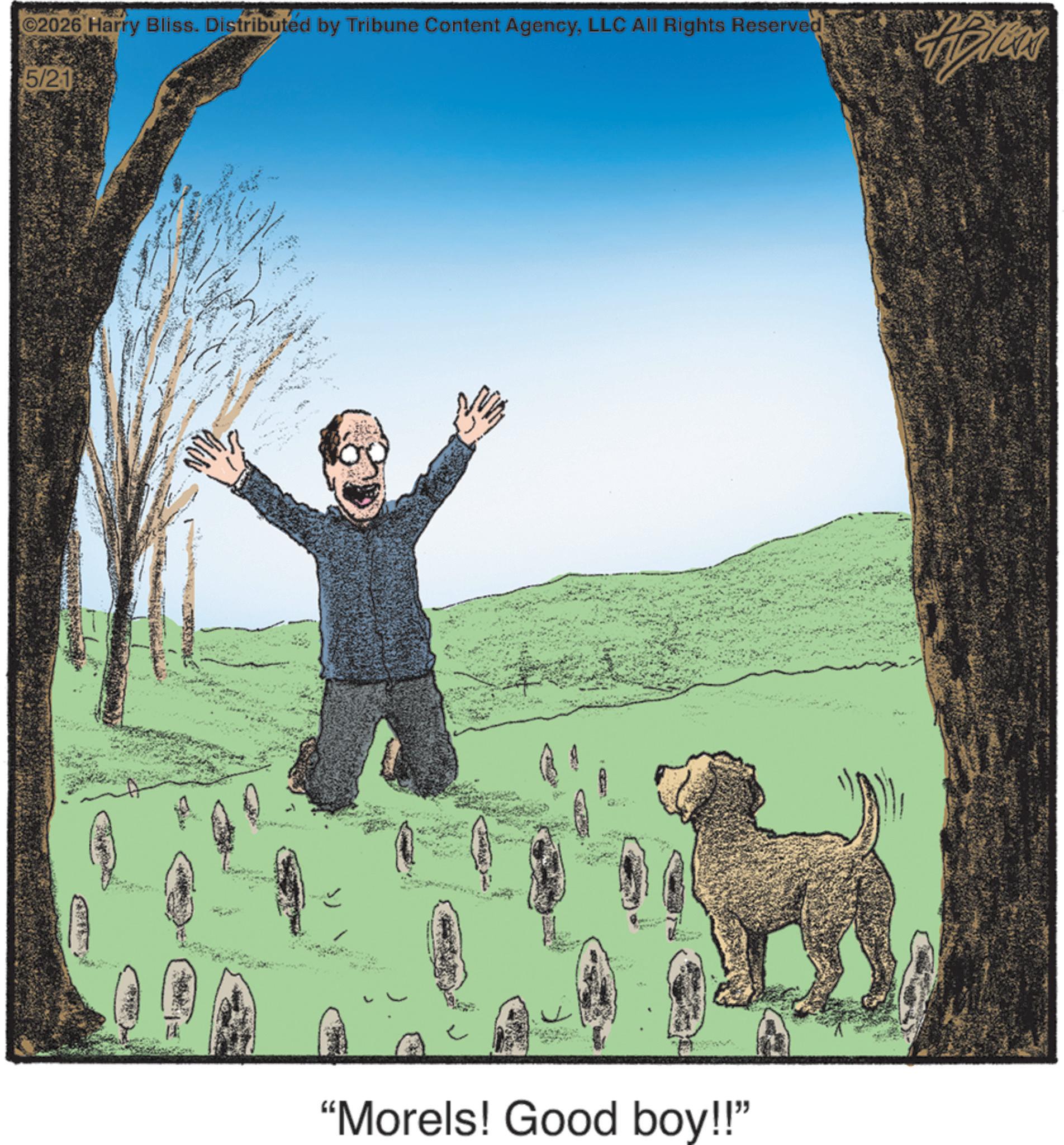 Fiction OCR: 2026 Harry Bliss. Distributed by Tribune Content AgencyLLC All Rights Reserved 5/21 "Morels! Good boy!!" 2026 Harry Bliss . Distributed by Tribune Content AgencyLLC All Rights Reserved 5/21 " Morels ! Good boy !! "