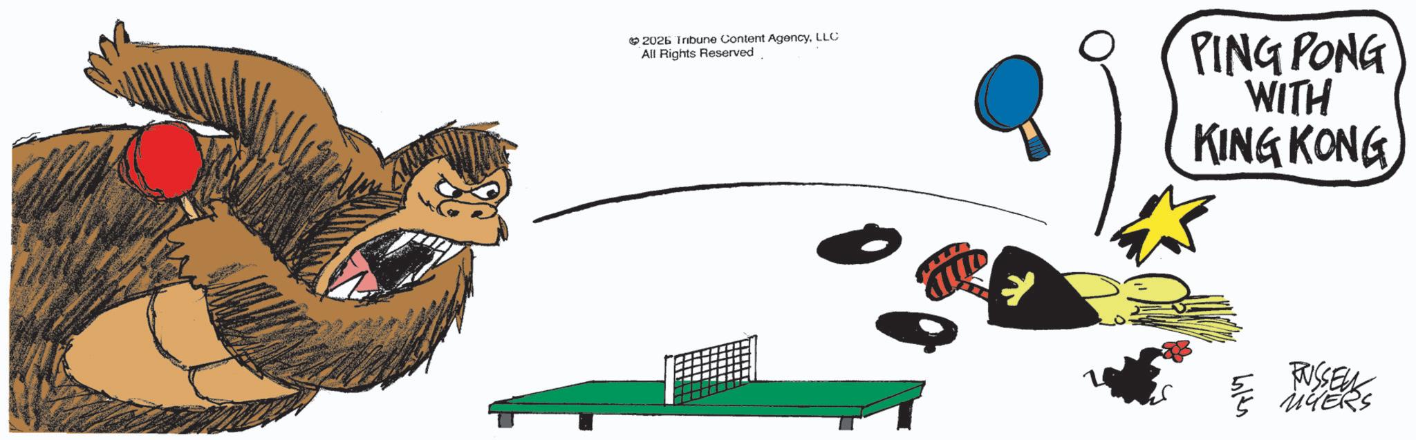Fiction OCR: 2026 Tribune Content AgencyLLC All Rights Reserved PING PONG WITH KING KONG 41 FUSSEY MYERS 2026 Tribune Content AgencyLLC All Rights Reserved PING PONG WITH KING KONG 41 FUSSEY MYERS