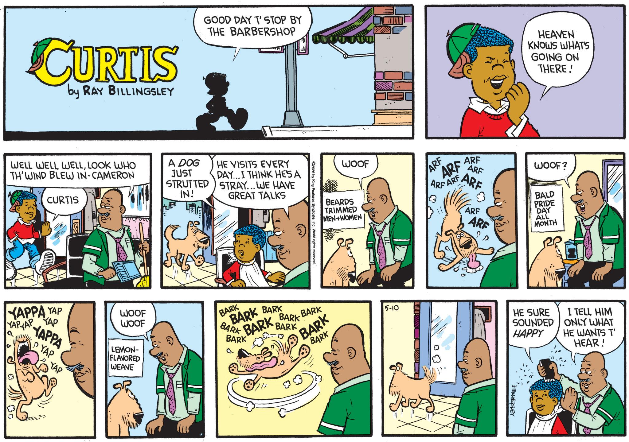 Animated cartoon OCR: CURTIS by RAY BILLINGSLEY WELL WELL WELLLOOK WHO TH'WIND BLEW IN-CAMERON CURTIS YAPPA YAP YAPAP KAP YAPPA YAP YAP GOOD DAY T'STOP BY THE BARBERSHOP HEAVEN KNOWS WHAT'S GOING ON THERE! A DOG JUST HE VISITS EVERY STRUTTED IN! DAY...I THINK HE'S A STRAY... WE HAVE GREAT TALKS WOOF WOOF LEMON- FLAVORED WEAVE ©2026 by King Features SyndicateInc. World rights reserved. WOOF BEARDS TRIMMED MEN+WOMEN ARF ARF ARF ARF ARF ARF ARF WOOF? BALD PRIDE ARF ARE DAY ALL MONTH BARK BARK BARK BARK BARK 5-10 HE SURE SOUNDED HAPPY I TELL HIM ONLY WHAT HE WANTS T' HEAR! BARK BARK BARK BARK BARK BARK BILLINGFLEY CURTIS by RAY BILLINGSLEY WELL WELL WELLLOOK WHO TH'WIND BLEW IN - CAMERON CURTIS YAPPA YAP YAPAP KAP YAPPA YAP YAP GOOD DAY T'STOP BY THE BARBERSHOP HEAVEN KNOWS WHAT'S GOING ON THERE ! A DOG JUST HE VISITS EVERY STRUTTED IN ! DAY ... I THINK HE'S A STRAY ... WE HAVE GREAT TALKS WOOF WOOF LEMON- FLAVORED WEAVE © 2026 by King Features SyndicateInc. World rights reserved . WOOF BEARDS TRIMMED MEN + WOMEN ARF ARF ARF ARF ARF ARF ARF WOOF ? BALD PRIDE ARF ARE DAY ALL MONTH BARK BARK BARK BARK BARK 5-10 HE SURE SOUNDED HAPPY I TELL HIM ONLY WHAT HE WANTS T ' HEAR ! BARK BARK BARK BARK BARK BARK BILLINGFLEY