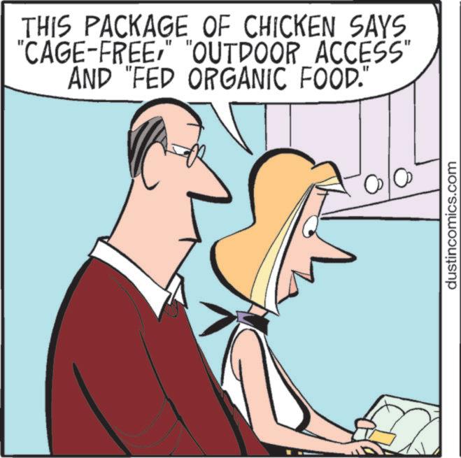 Graphics OCR: THIS PACKAGE OF CHICKEN SAYS "CAGE-FREE" "OUTDOOR ACCESS" AND "FED ORGANIC FOOD." dustincomics.com THIS PACKAGE OF CHICKEN SAYS " CAGE - FREE" " OUTDOOR ACCESS " AND " FED ORGANIC FOOD . " dustincomics.com